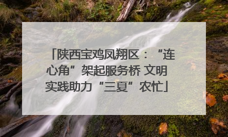 陕西宝鸡凤翔区：“连心角”架起服务桥 文明实践助力“三夏”农忙