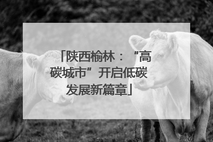 陕西榆林：“高碳城市”开启低碳发展新篇章