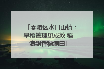 零陵区水口山镇：早稻管理见成效 稻浪飘香穗满田