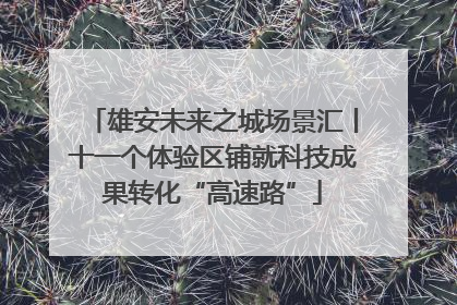 雄安未来之城场景汇丨十一个体验区铺就科技成果转化“高速路”