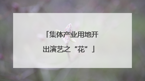 集体产业用地开出演艺之“花”