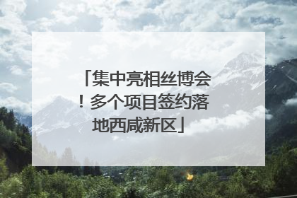 集中亮相丝博会！多个项目签约落地西咸新区