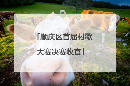 顺庆区首届村歌大赛决赛收官