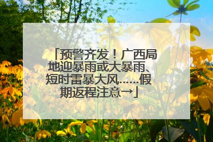 预警齐发！广西局地迎暴雨或大暴雨、短时雷暴大风……假期返程注意→