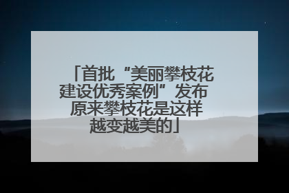首批“美丽攀枝花建设优秀案例”发布 原来攀枝花是这样越变越美的