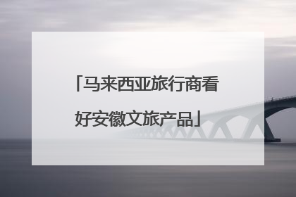 马来西亚旅行商看好安徽文旅产品