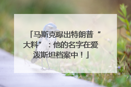 马斯克曝出特朗普“大料”：他的名字在爱泼斯坦档案中！