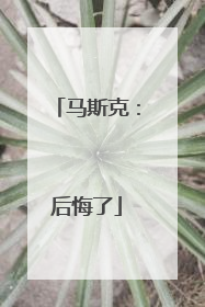马斯克：后悔了