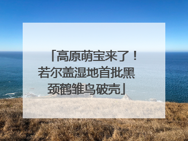 高原萌宝来了！若尔盖湿地首批黑颈鹤雏鸟破壳