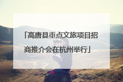 高唐县重点文旅项目招商推介会在杭州举行