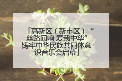 高新区（新市区）“丝路回响 爱我中华”铸牢中华民族共同体意识音乐会启幕