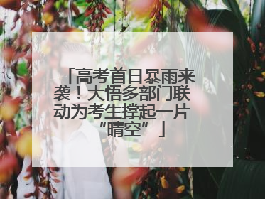 高考首日暴雨来袭！大悟多部门联动为考生撑起一片“晴空”
