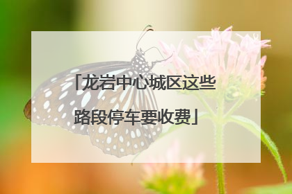 龙岩中心城区这些路段停车要收费