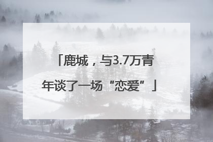 鹿城，与3.7万青年谈了一场“恋爱”