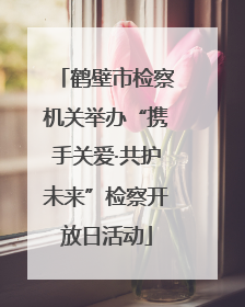 鹤壁市检察机关举办“携手关爱·共护未来”检察开放日活动