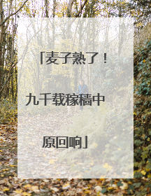 麦子熟了！九千载稼穑中原回响