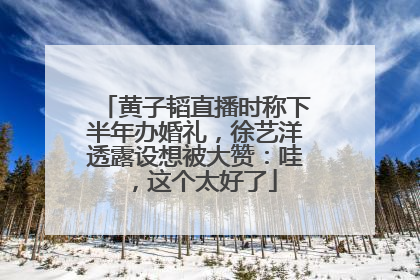 黄子韬直播时称下半年办婚礼，徐艺洋透露设想被大赞：哇，这个太好了