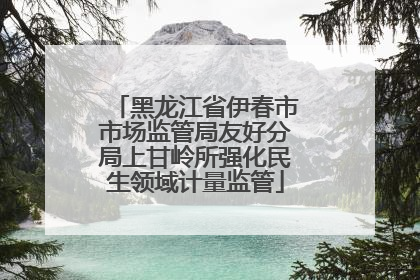 黑龙江省伊春市市场监管局友好分局上甘岭所强化民生领域计量监管