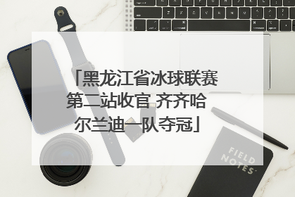 黑龙江省冰球联赛第二站收官 齐齐哈尔兰迪一队夺冠