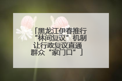 黑龙江伊春推行“林间复议”机制 让行政复议直通群众“家门口”