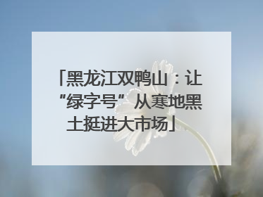 黑龙江双鸭山：让“绿字号”从寒地黑土挺进大市场