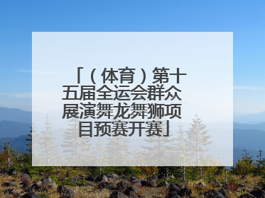 （体育）第十五届全运会群众展演舞龙舞狮项目预赛开赛