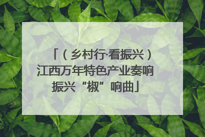 （乡村行·看振兴）江西万年特色产业奏响振兴“椒”响曲