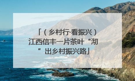 （乡村行·看振兴）江西信丰一片茶叶“沏”出乡村振兴路