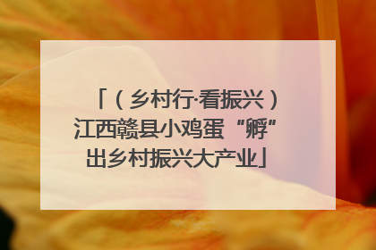 （乡村行·看振兴）江西赣县小鸡蛋“孵”出乡村振兴大产业