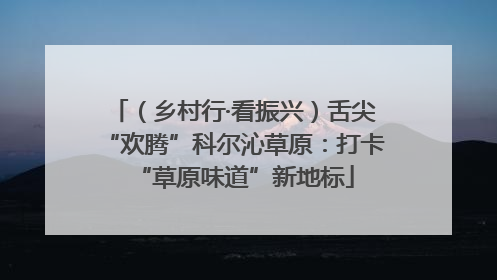 （乡村行·看振兴）舌尖“欢腾”科尔沁草原：打卡“草原味道”新地标