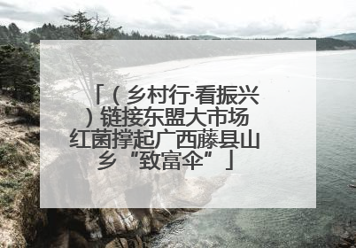 （乡村行·看振兴）链接东盟大市场 红菌撑起广西藤县山乡“致富伞”