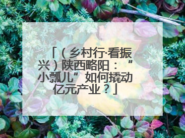 （乡村行·看振兴）陕西略阳：“小瓢儿”如何撬动亿元产业？