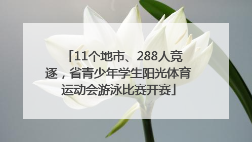11个地市、288人竞逐，省青少年学生阳光体育运动会游泳比赛开赛