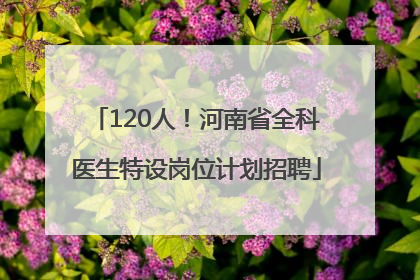 120人！河南省全科医生特设岗位计划招聘