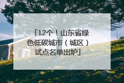 12个！山东省绿色低碳城市（城区）试点名单出炉