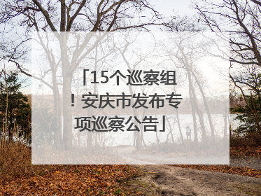 15个巡察组！安庆市发布专项巡察公告