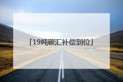 19吨碳汇补偿到位