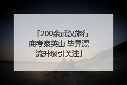 200余武汉旅行商考察英山 毕昇漂流升级引关注