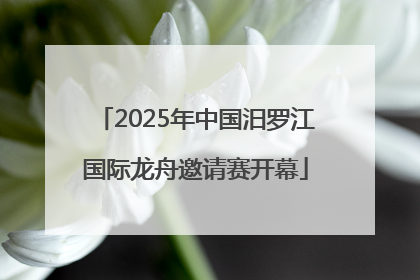 2025年中国汨罗江国际龙舟邀请赛开幕