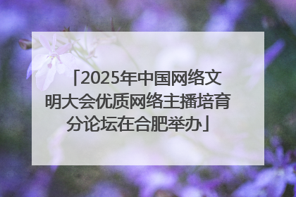 2025年中国网络文明大会优质网络主播培育分论坛在合肥举办
