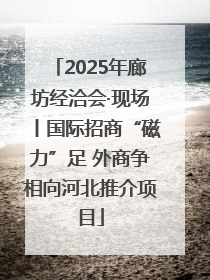 2025年廊坊经洽会·现场丨国际招商“磁力”足 外商争相向河北推介项目