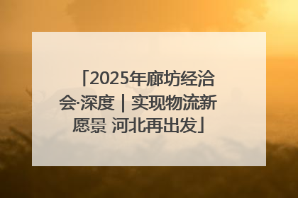 2025年廊坊经洽会·深度｜实现物流新愿景 河北再出发