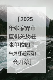 2025年张家界市直机关及驻张单位职工气排球运动会开幕