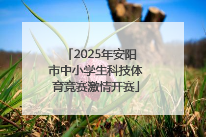 2025年安阳市中小学生科技体育竞赛激情开赛