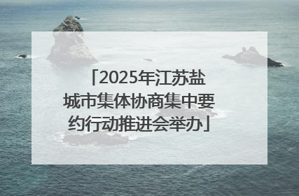 2025年江苏盐城市集体协商集中要约行动推进会举办
