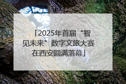 2025年首届“智见未来”数字文旅大赛在西安圆满落幕