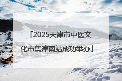 2025天津市中医文化市集津南站成功举办