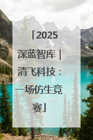 2025深蓝智库｜清飞科技：一场仿生竞赛