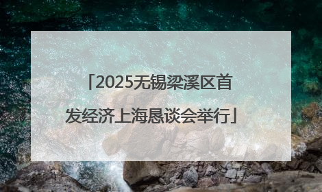 2025无锡梁溪区首发经济上海恳谈会举行