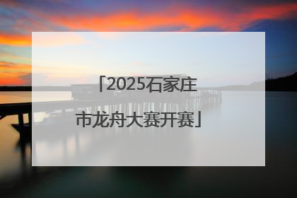2025石家庄市龙舟大赛开赛